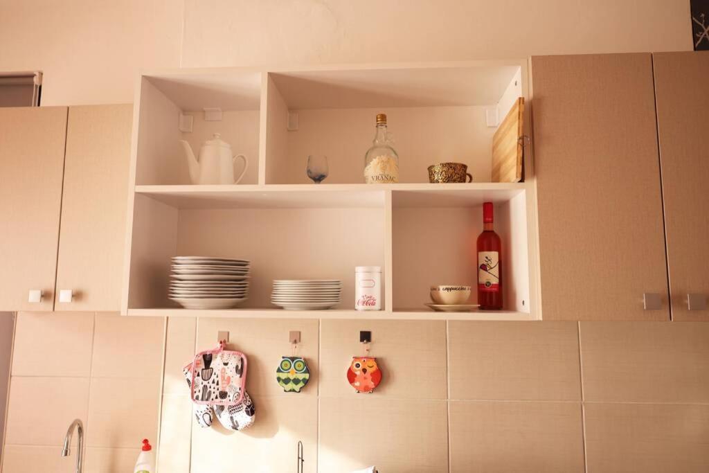Viki Apartment Centar Ni 외부 사진
